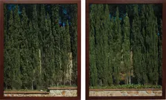 Jean-Marc Bustamante, Two works: (i) Cyprès (T.105.91); (ii) Cyprès (T.106.91), 1991, chromogenic print