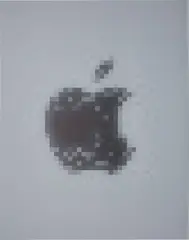 Apple Logo by Mark Flood, 2013, archival ink on canvas, sold Sep 2017