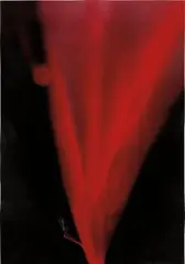 Michio Yoshihara, Untitled from Flowers, 1967, mixed media on paper