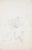 Andy Warhol, Women and Flowers, circa 1957, hand-colored blotted ink line drawing on paper