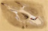 Morris Graves, Spirit Bird, 1954, pen, ink, gouache, and gold paint on paper
