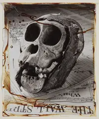 Ape Skull from Rwanda by Peter Beard, 1984, gelatin silver print with blood and ink, sold Sep 2017