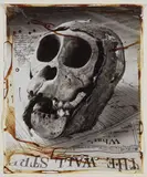 Peter Beard, Ape Skull from Rwanda