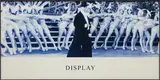 Horizontal Series: Display by John Baldessari, 2003, digital photographic print mounted on Sintra, sold Nov 2017