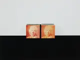 Anne Collier, Double Marilyn