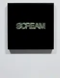 Iván Navarro, Scream