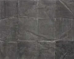 Sam Moyer, Untitled, 2011, ink and bleach on canvas, mounted on panel