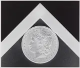 Silver Dollar by Robert Mapplethorpe, 1988, Gelatin silver print, sold Apr 2017