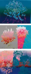 Kiku by Andy Warhol, 1983, The complete set of three screenprints in colors, on Rives BFK paper, the full sheets, sold Apr 2017