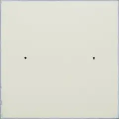 Robert Ryman, Conversion, 2003, Relief print from linoleum in white with applied carpet tacks, on aluminum panel, the full sheet,
