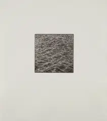 Untitled by Vija Celmins, 1995, Wood engraving, on Twinrocker paper, with full margins, sold Apr 2017