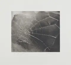 Vija Celmins, Spiderweb, 2009, Screenprint, on wove paper, with full margins