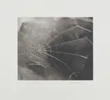 Vija Celmins, Spiderweb, 2009, Screenprint, on wove paper, with full margins