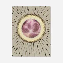 Jose Alvarez, Where They Came From, 2007, porcupine quills, feathers, watercolor and gouache on paper