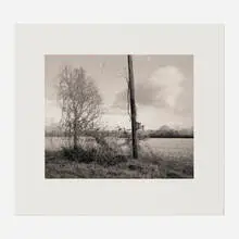 Gregory Conniff, Untitled, gelatin silver print