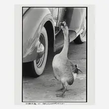 Robert Rauschenberg, Untitled, 1980, gelatin silver print