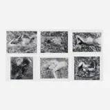 Judy Coleman, A Portfolio of Six Photographs, 1988-89, gelatin silver print