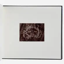 Illusory Arrangements (Artist's Book) by Diana Schoenfeld, 1977, bound book, toned gelatin silver print, sold Jun 2026