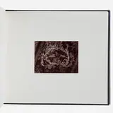 Diana Schoenfeld, Illusory Arrangements (Artist's Book), 1977, bound book, toned gelatin silver print