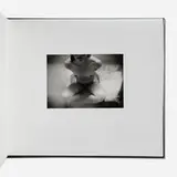 Jo Ann Callis, Morphe (Artist's Book), photograph