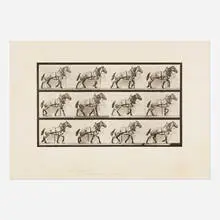 Eadweard Muybridge, Plate 56 (from the Animal Locomotion series), 1887, vintage collotype