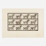 Eadweard Muybridge, Plate 56 (from the Animal Locomotion series), 1887, vintage collotype