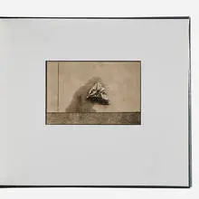 Ron Leighton, Untitled (Artist's Book), 1976, bound book, toned gelatin silver print