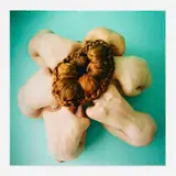 Amanda Charchian, Ginger Entanglement, 2013, C-print