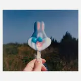 Meredith Allen, Moriche's Island Road (Bugs), 1999, laminated chromogenic dye print mounted on Sintra