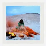 Judy Chicago, Immolation