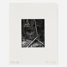 Oliver Gagliani, Untitled (Fallen Trees), gelatin silver print
