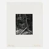 Oliver Gagliani, Untitled (Fallen Trees), gelatin silver print