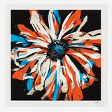 Dave Kinsey, Valle Flor, 2012, screenprint in colors