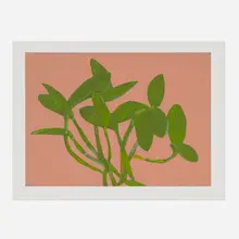 Jane Freilicher, Orchid Plant (from Centennial Portfolio), 1997, screenprint in colors on Somerset Satin