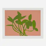 Jane Freilicher, Orchid Plant (from Centennial Portfolio), 1997, screenprint in colors on Somerset Satin