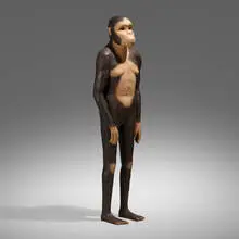 Kerry Stewart, Untitled (Lucy), 1996, acrylic and fiberglass