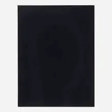 Gary Hume, Shroud, 2004, charcoal and chalk on canvas