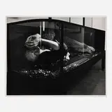 Edmund Shea, Untitled, gelatin silver print