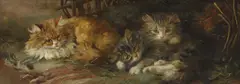 G... Cox, Untitled, oil on canvas 23 x 61cm