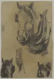 Harry Becker, Untitled, pencil 38 x 25cm Provenance: With the Wildlife Art Gallery