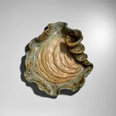 Théo Perrot, 'Sea-form' Dish, glazed stoneware, incised 'Theo Perrot' and '6 x1'