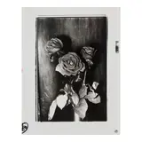 Daidō Moriyama, A Journey to Nakaji, 11, Rain (A Gift of Roses)