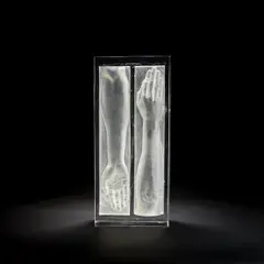 Bruno Romanelli, 'Exposed IV' sculpture, 2002, Cast glass, with lost wax relief of two arms