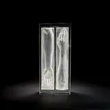 Bruno Romanelli, 'Exposed IV' sculpture, 2002, Cast glass, with lost wax relief of two arms