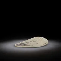 Ken Mihara, Dish, circa 2000, Stoneware