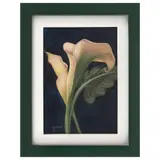 Waldo Saavedra, Untitled, Pastel sobre papel