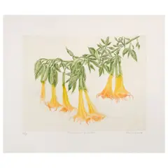 Floripondios by Nicolás Moreno, Grabado a la punta seca 40 / 50, offered Mar 2026