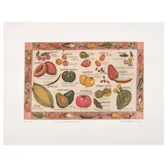 Eugenia Marcos, Frutas y verduras de México, 2012, Grabado al aguafuerte, aguatinta y barniz blando C / A 11 / 22