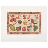 Eugenia Marcos, Frutas y verduras de México, 2012, Grabado al aguafuerte, aguatinta y barniz blando C / A 11 / 22