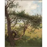 ESTUDIO DE ÁRBOL by Paul Fischer, Óleo sobre tela, offered Jan 2026